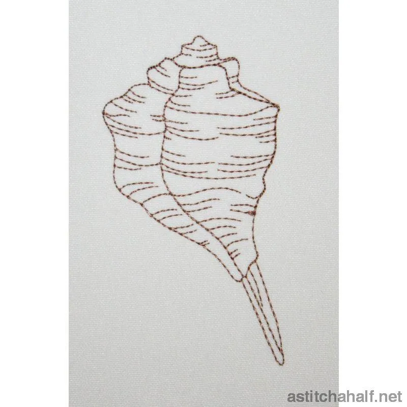Shelly Beach Combo
