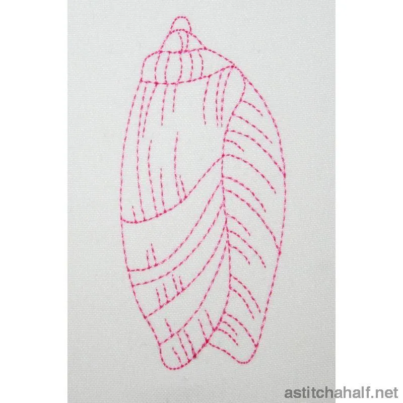 Shelly Beach Combo